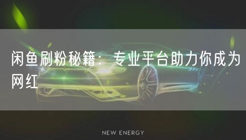 闲鱼刷粉秘籍：专业平台助力你成为网红