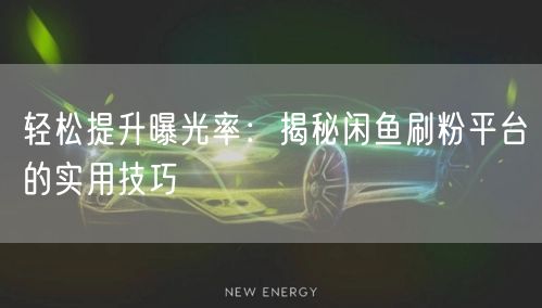 轻松提升曝光率：揭秘闲鱼刷粉平台的实用技巧