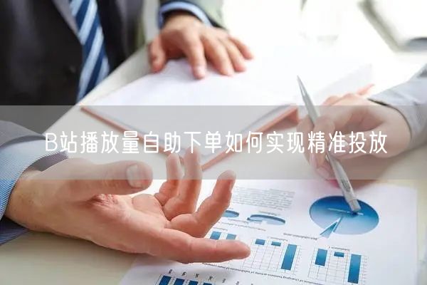 B站播放量自助下单如何实现精准投放