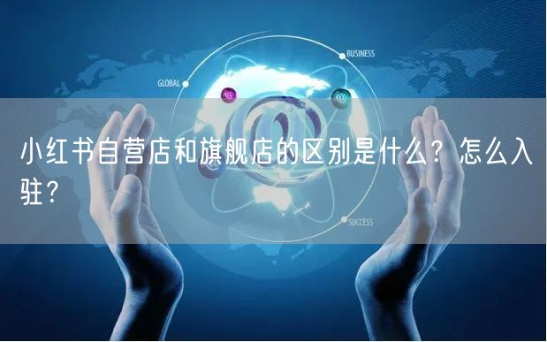 小红书自营店和旗舰店的区别是什么？怎么入驻？