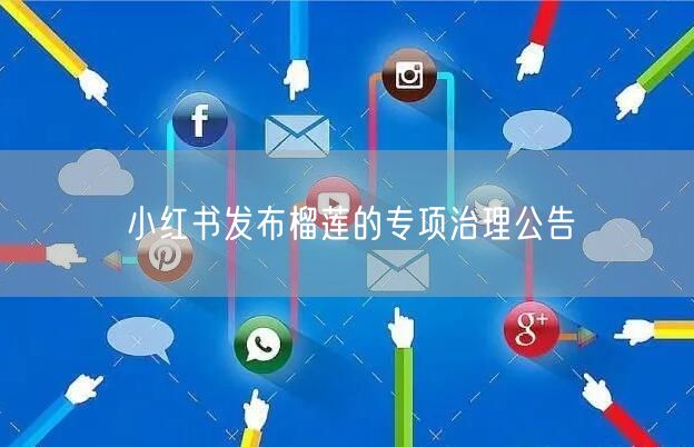小红书发布榴莲的专项治理公告