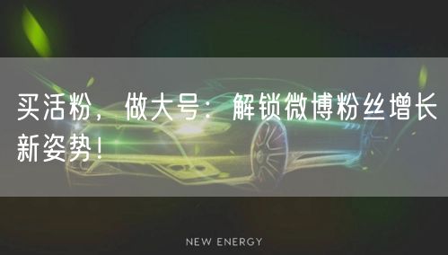 买活粉，做大号：解锁微博粉丝增长新姿势！