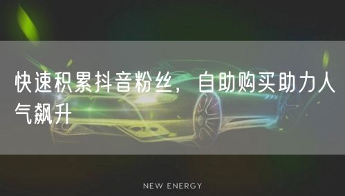 快速积累抖音粉丝，自助购买助力人气飙升