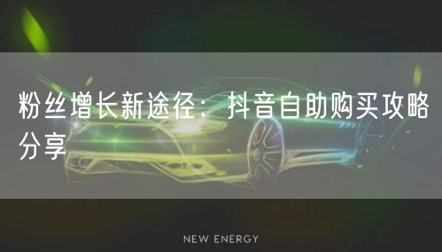 粉丝增长新途径：抖音自助购买攻略分享