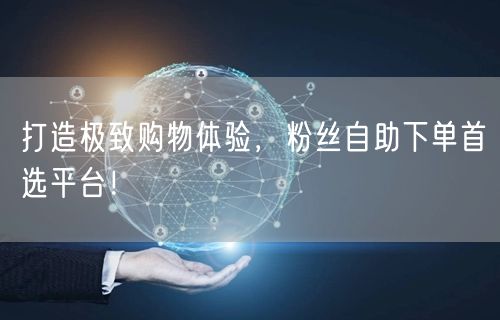 打造极致购物体验，粉丝自助下单首选平台！