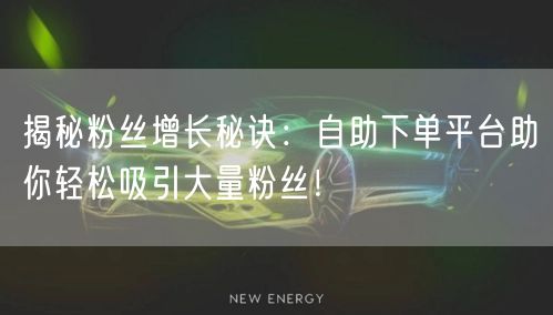 揭秘粉丝增长秘诀：自助下单平台助你轻松吸引大量粉丝！