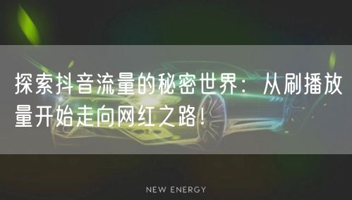 探索抖音流量的秘密世界：从刷播放量开始走向网红之路！