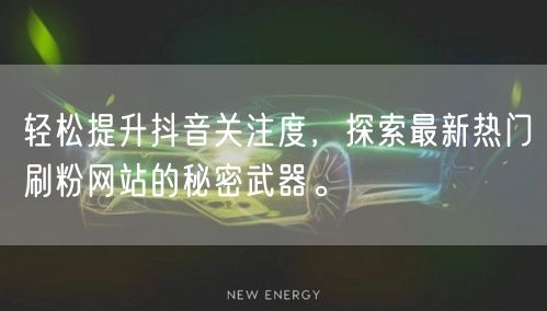 轻松提升抖音关注度，探索最新热门刷粉网站的秘密武器。