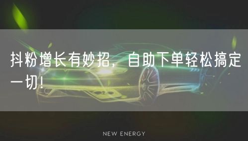 抖粉增长有妙招，自助下单轻松搞定一切！