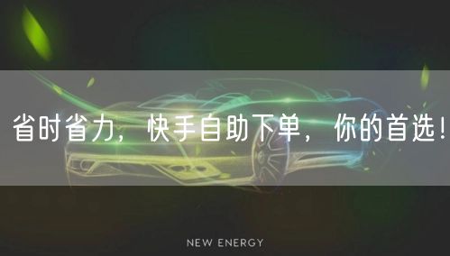 省时省力，快手自助下单，你的首选！