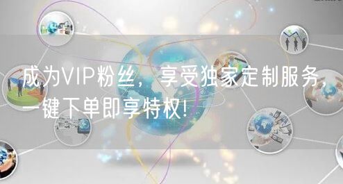 成为VIP粉丝，享受独家定制服务，一键下单即享特权!