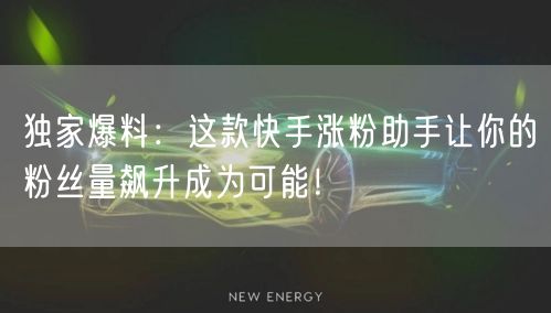 独家爆料：这款快手涨粉助手让你的粉丝量飙升成为可能！