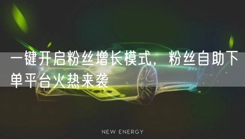 一键开启粉丝增长模式，粉丝自助下单平台火热来袭