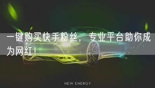 一键购买快手粉丝，专业平台助你成为网红！