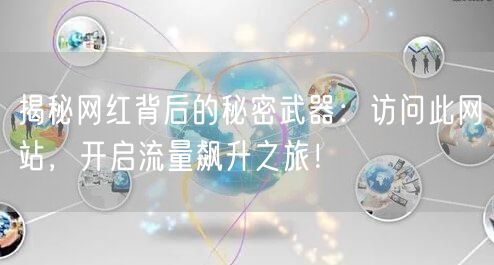 揭秘网红背后的秘密武器：访问此网站，开启流量飙升之旅！