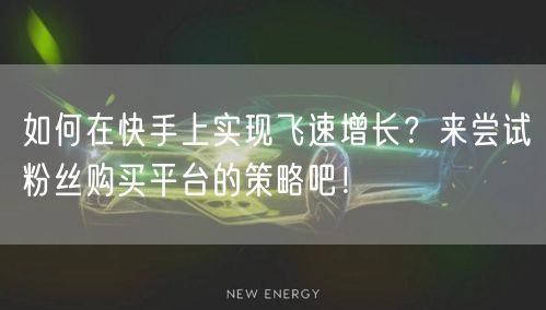 如何在快手上实现飞速增长？来尝试粉丝购买平台的策略吧！