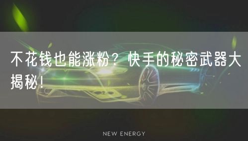 不花钱也能涨粉？快手的秘密武器大揭秘！