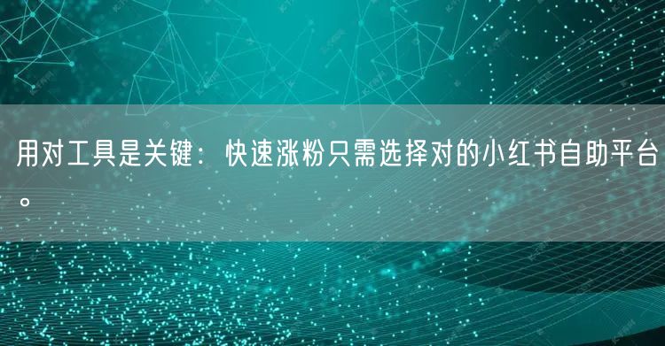 用对工具是关键：快速涨粉只需选择对的小红书自助平台。