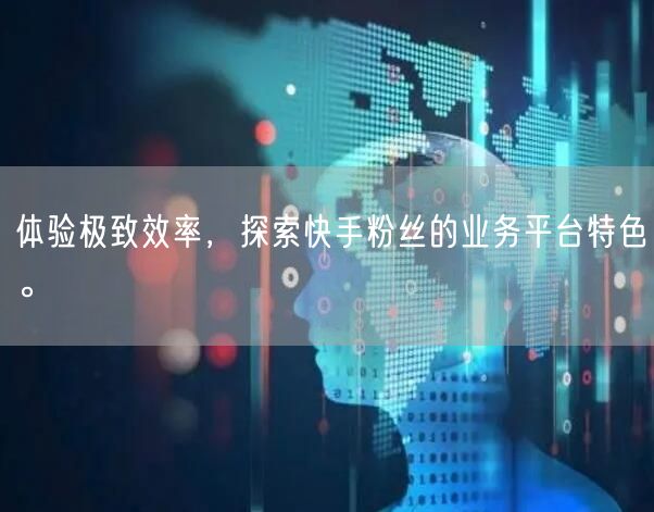 体验极致效率，探索快手粉丝的业务平台特色