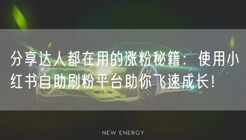 分享达人都在用的涨粉秘籍：使用小红书自助刷粉平台助你飞速成长！
