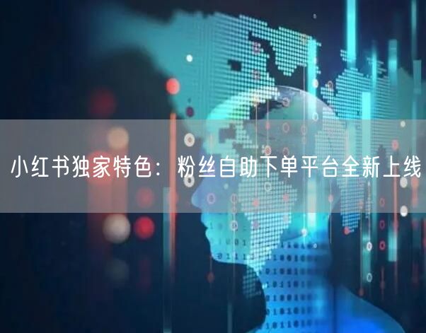 小红书独家特色：粉丝自助下单平台全新上线