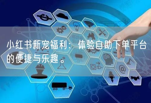 小红书新宠福利：体验自助下单平台的便捷与乐趣。