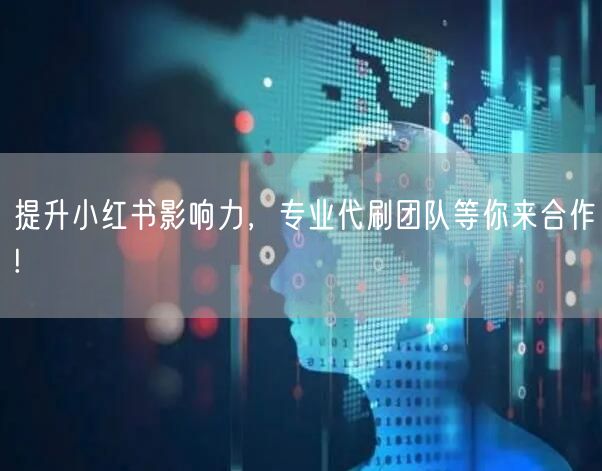 提升小红书影响力，专业代刷团队等你来合作!