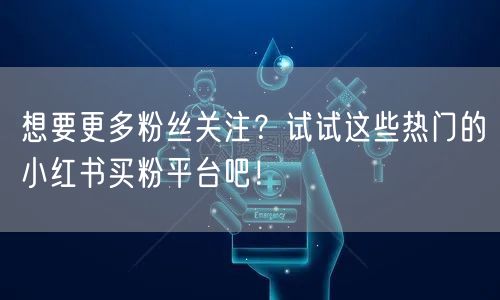 想要更多粉丝关注？试试这些热门的小红书买粉平台吧！