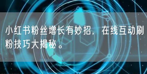 小红书粉丝增长有妙招，在线互动刷粉技巧大揭秘。