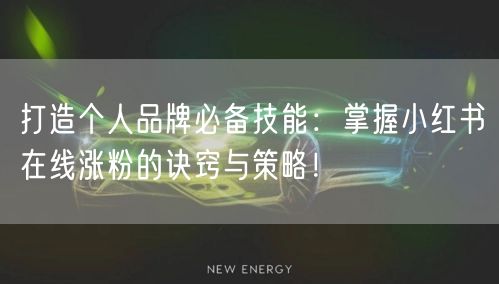 打造个人品牌必备技能：掌握小红书在线涨粉的诀窍与策略！
