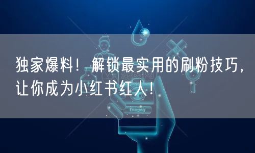 独家爆料！解锁最实用的刷粉技巧，让你成为小红书红人！