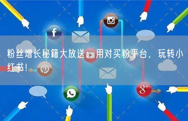 粉丝增长秘籍大放送：用对买粉平台，玩转小红书！