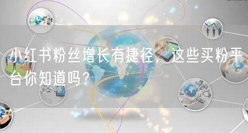 小红书粉丝增长有捷径，这些买粉平台你知道吗？