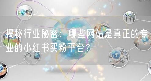 揭秘行业秘密：哪些网站是真正的专业的小红书买粉平台？