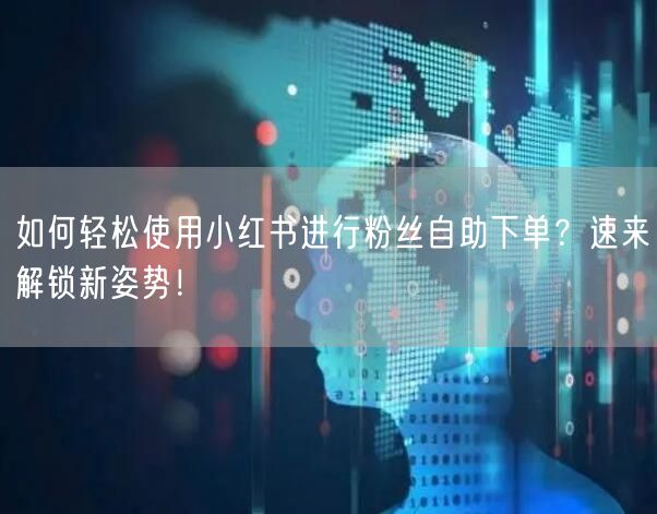 如何轻松使用小红书进行粉丝自助下单？速来解锁新姿势！