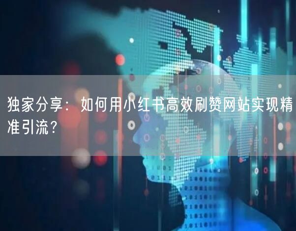 独家分享：如何用小红书高效刷赞网站实现精准引流？