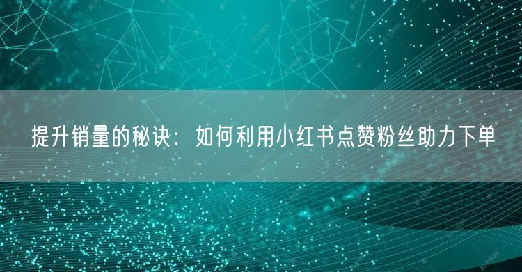 提升销量的秘诀：如何利用小红书点赞粉丝助力下单