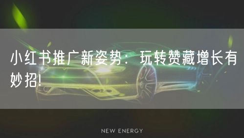 小红书推广新姿势：玩转赞藏增长有妙招!