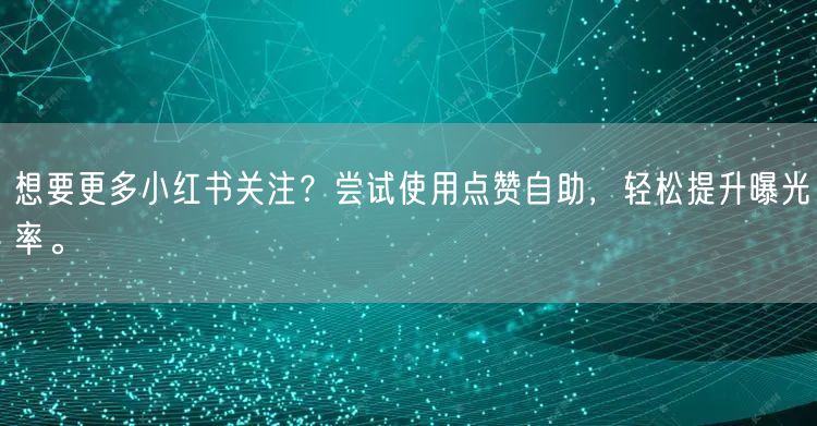 想要更多小红书关注？尝试使用点赞自助，轻松提升曝光率。