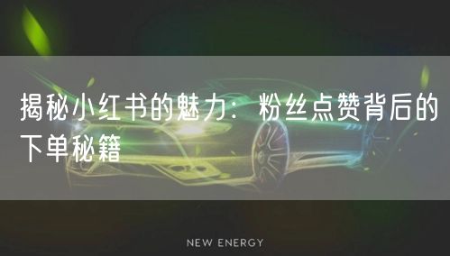 揭秘小红书的魅力：粉丝点赞背后的下单秘籍