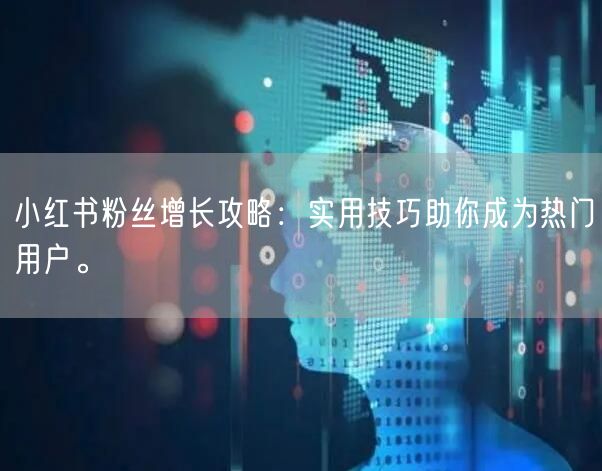 小红书粉丝增长攻略：实用技巧助你成为热门用户。