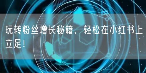 玩转粉丝增长秘籍，轻松在小红书上立足！