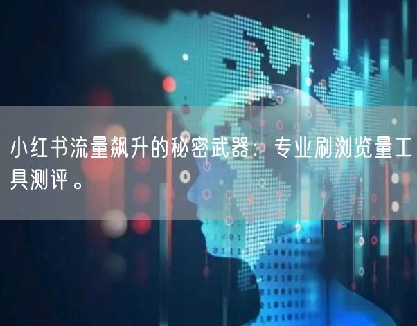 小红书流量飙升的秘密武器：专业刷浏览量工具测评。