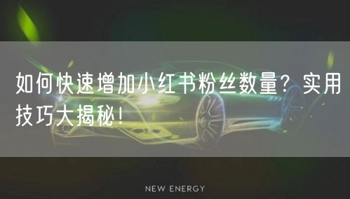 如何快速增加小红书粉丝数量？实用技巧大揭秘！