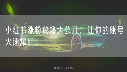 小红书涨粉秘籍大公开，让你的账号火速爆红！