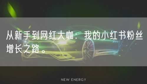 从新手到网红大咖：我的小红书粉丝增长之路。