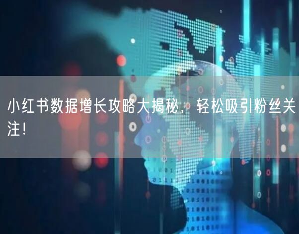 小红书数据增长攻略大揭秘，轻松吸引粉丝关注！