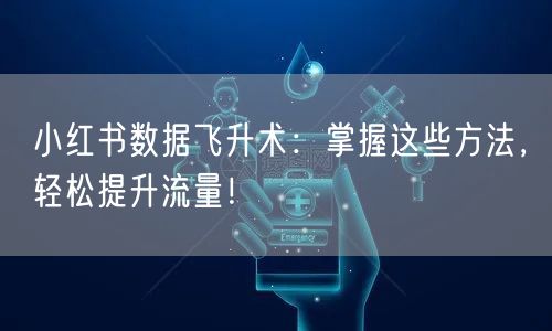 小红书数据飞升术：掌握这些方法，轻松提升流量！