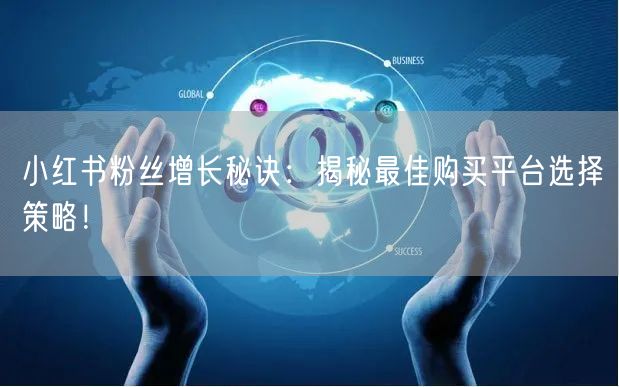 小红书粉丝增长秘诀：揭秘最佳购买平台选择策略！