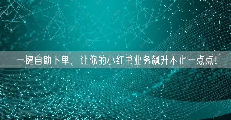 一键自助下单，让你的小红书业务飙升不止一点点！